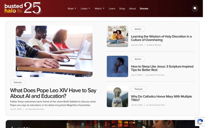 Screenshot of bustedhalo.com
