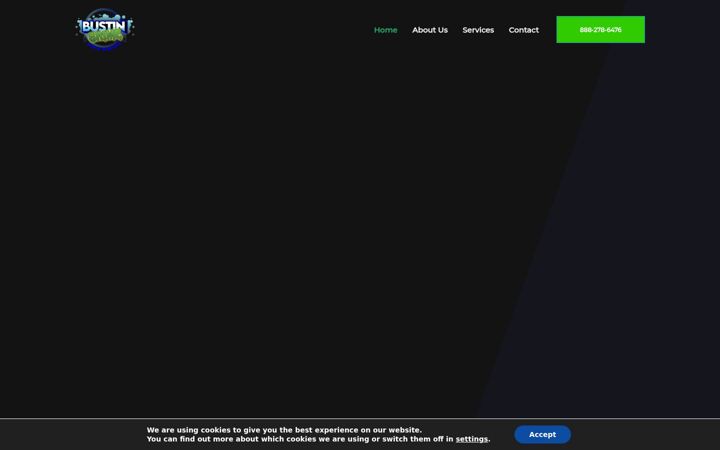Screenshot of bustingrime.com