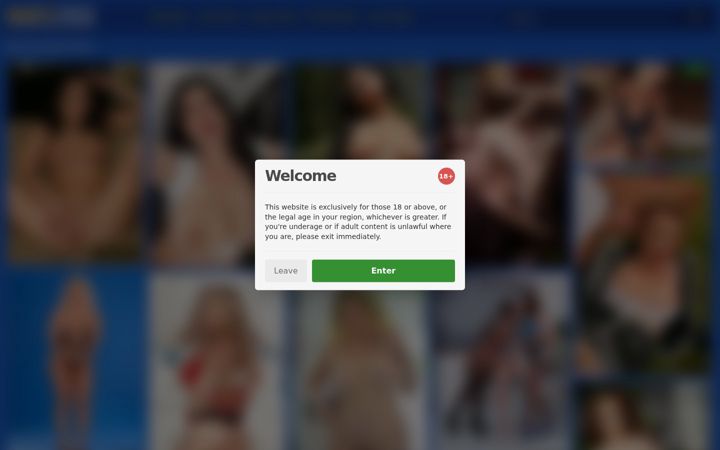 Screenshot of bustypics.com
