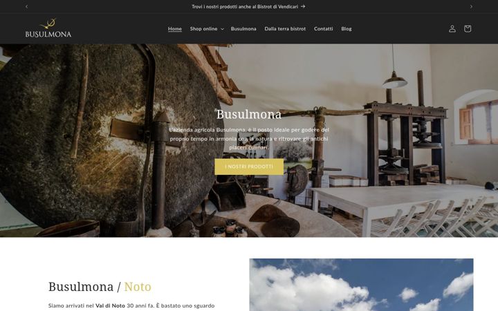 Screenshot of busulmona.com