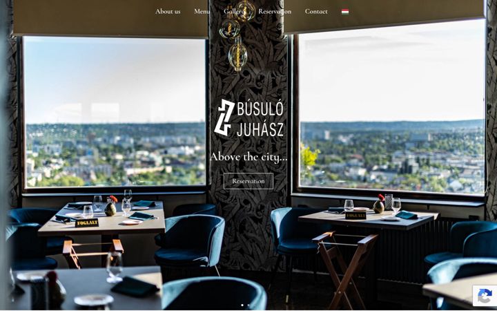 Screenshot of busulojuhasz.hu