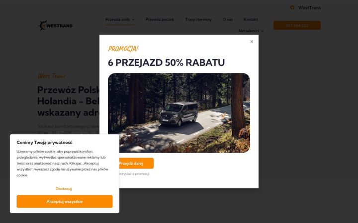 Screenshot of busydoniemiecholandii.eu