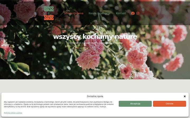 Screenshot ta' buszisusz.pl