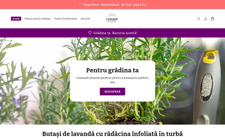 Screenshot stránky butasidelavanda.ro