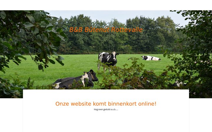 Screenshot of butenut.com