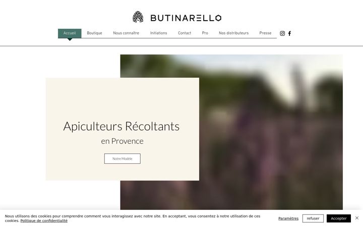 Captură de ecran a butinarello.fr