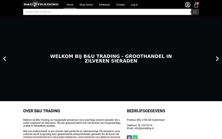 Zrzut ekranu butrading.nl