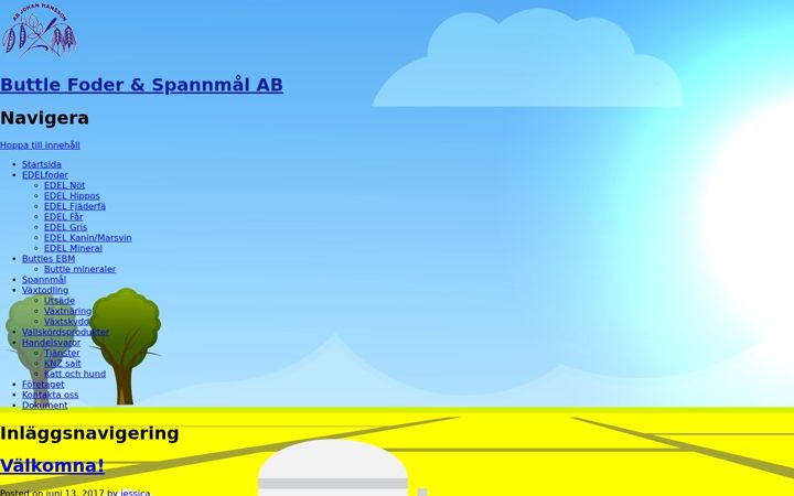 Screenshot of buttlekvarn.nu