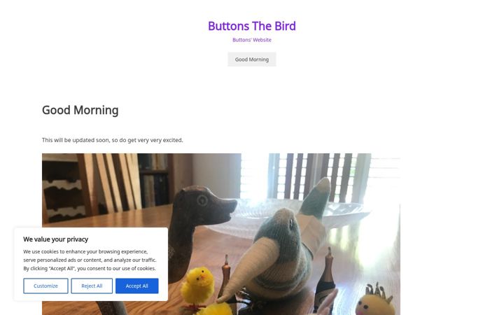 Screenshot of buttonsthebird.com