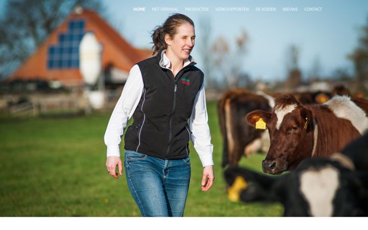 Skjermbilde av buurvrouwdurkje.nl