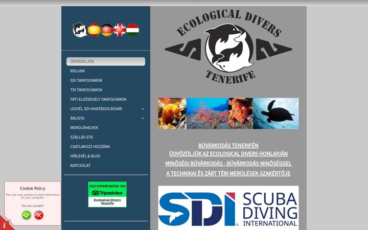 Screenshot of buvar-tenerife.com