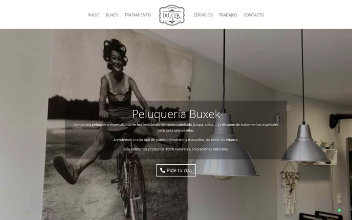 Screenshot of buxekileapaindegia.com