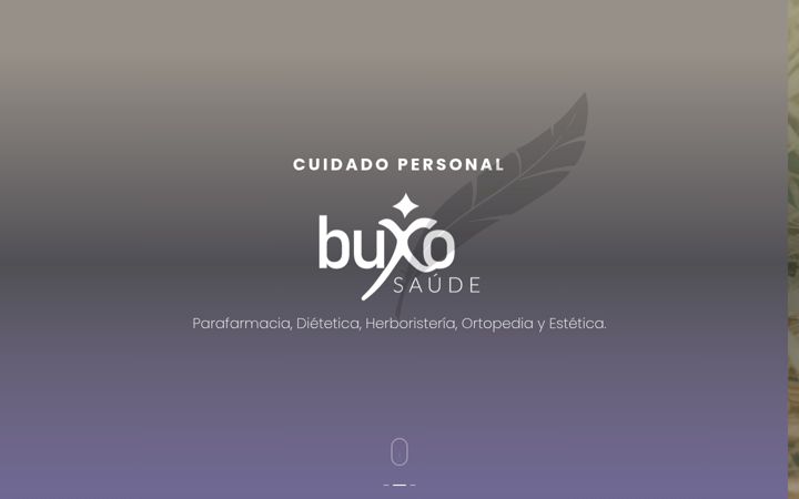 Screenshot of buxosaude.es