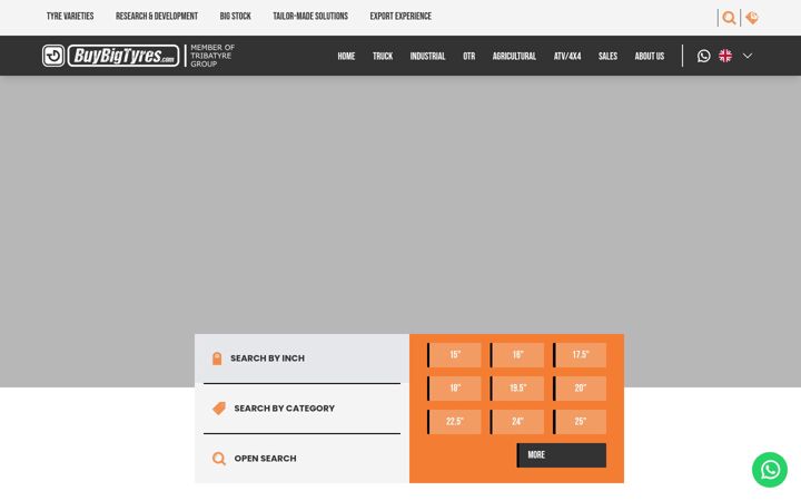 Screenshot of buybigtyres.com
