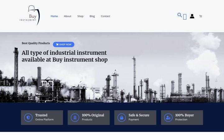 Screenshot of buyinstrument.shop