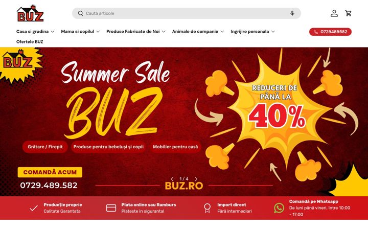 Screenshot of buz.ro
