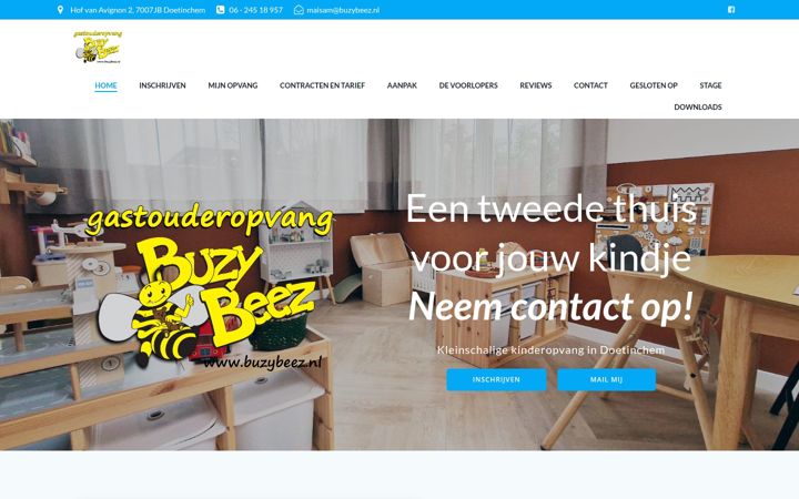 Screenshot του buzybeez.nl