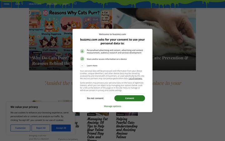 Screenshot of buzzmz.com
