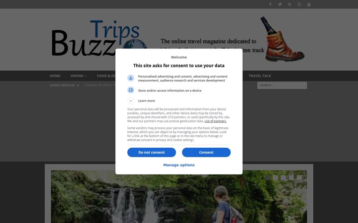 Screenshot of buzztrips.co.uk