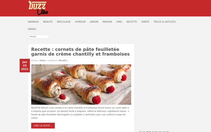 Screenshot of buzzultra.com