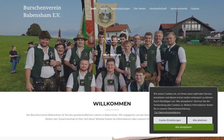 Skjámynd af bv-babensham.de