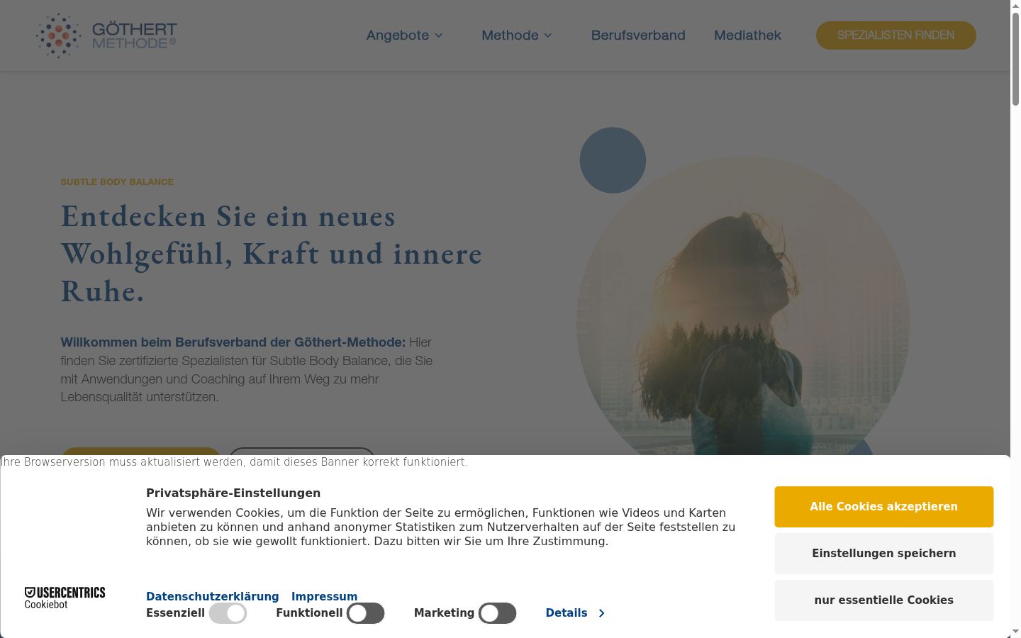 Screenshot of the consent banner shown before any interaction