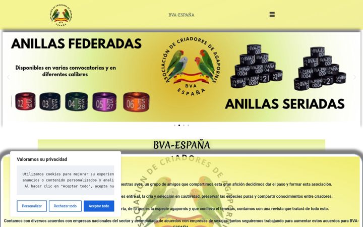 Screenshot of bva-espana.es