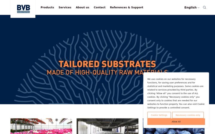 Screenshot of bvb-substrates.nl