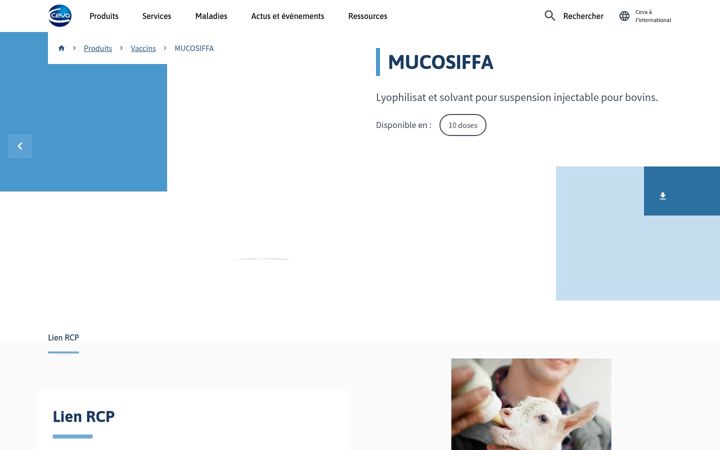 Screenshot of bvdobservatoire.com