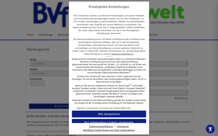 Képernyőkép: bvfk-autowelt.de