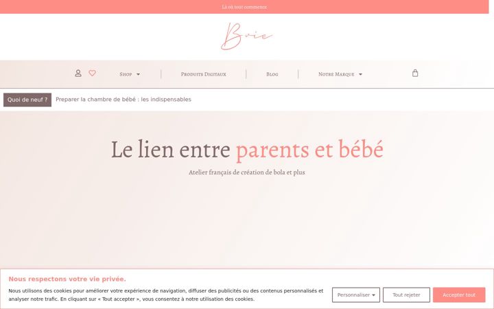 Zrzut ekranu bvie.fr