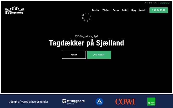 Screenshot of bvotagdaekning.dk