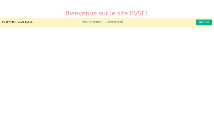 Zrzut ekranu bvsel.fr