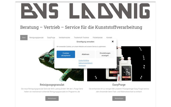 Screenshot of bvsladwig.de