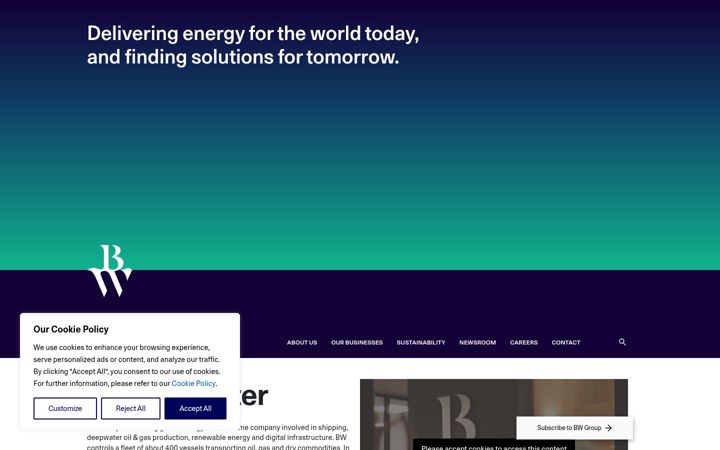 Screenshot of bw-group.com