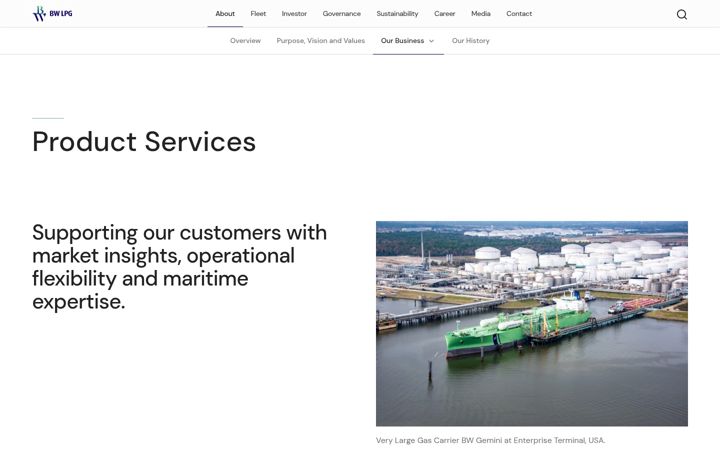 Screenshot of bw-ps.com