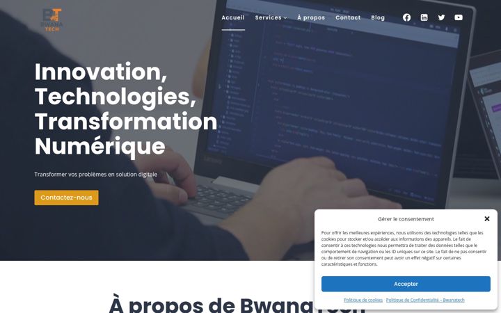 Screenshot of bwanatech.com