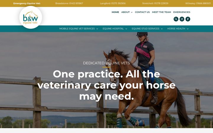 Screenshot of bwequinevets.co.uk