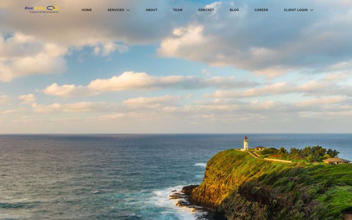 Screenshot of bwesglobal.com