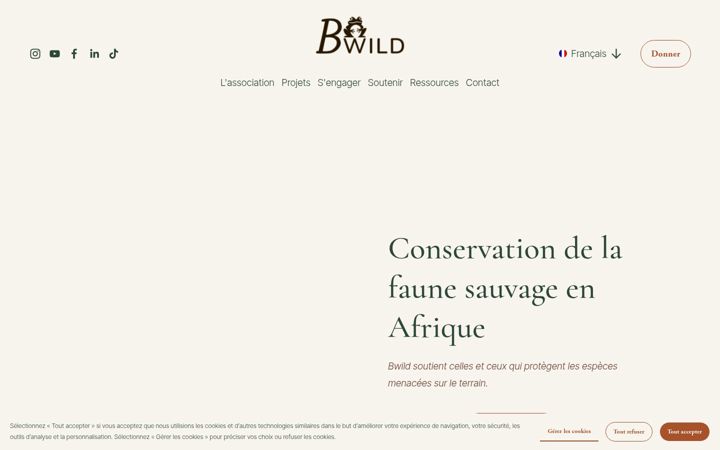 Screenshot of bwild.org