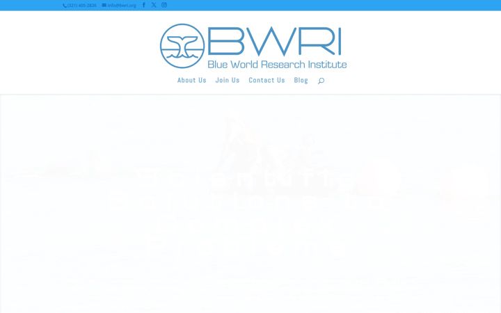 Skærmbillede af bwri.org
