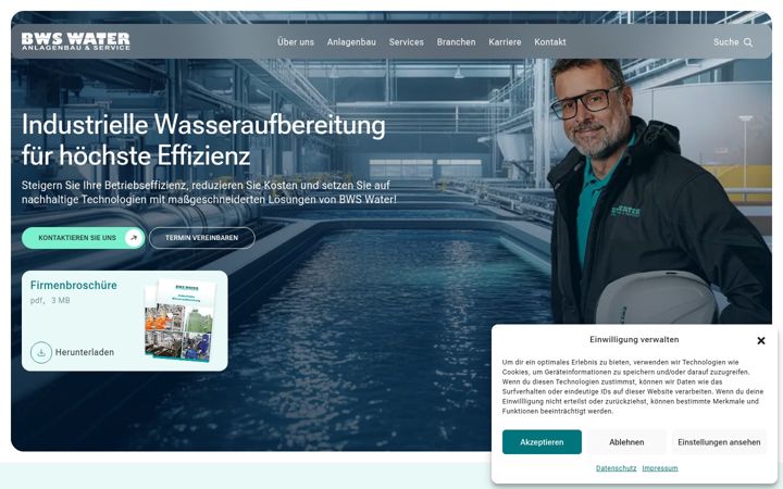 Screenshot of bws-water.com
