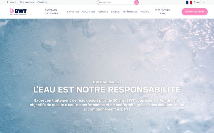Screenshot of bwt-industries.com