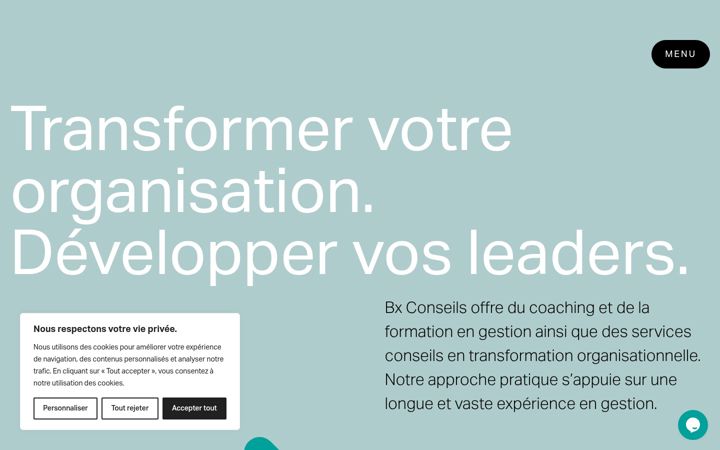 Screenshot di bxconseils.ca
