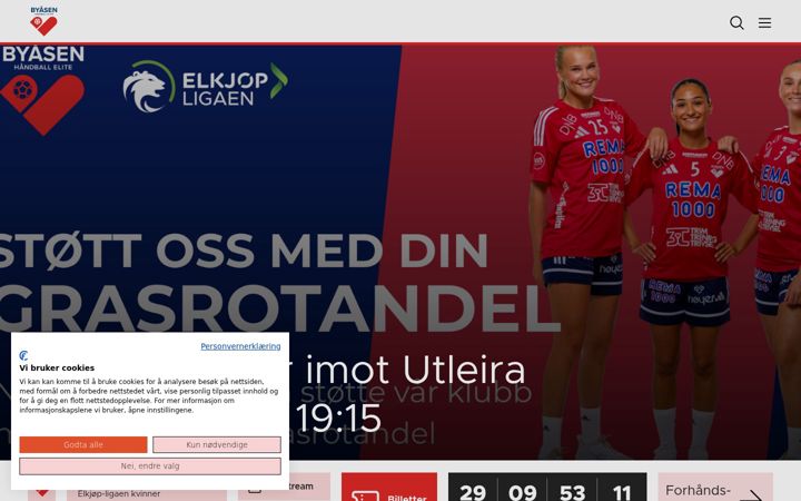 Screenshot of byaasen.no