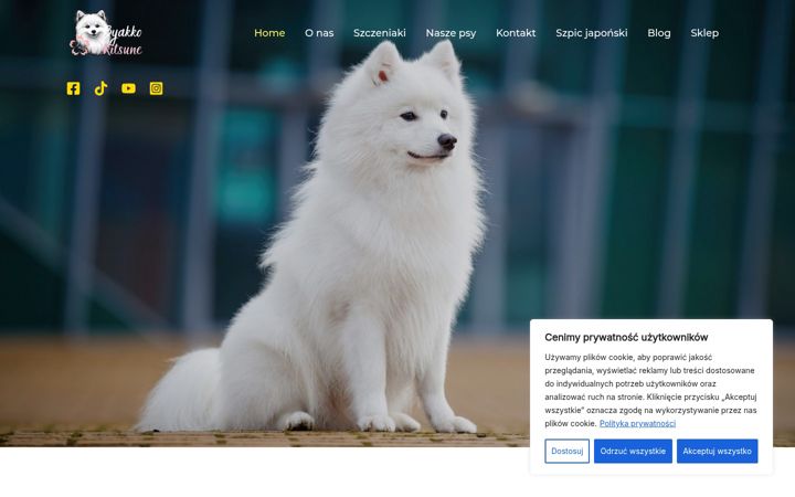 Ekraanipilt saidist byakkokitsune.pl