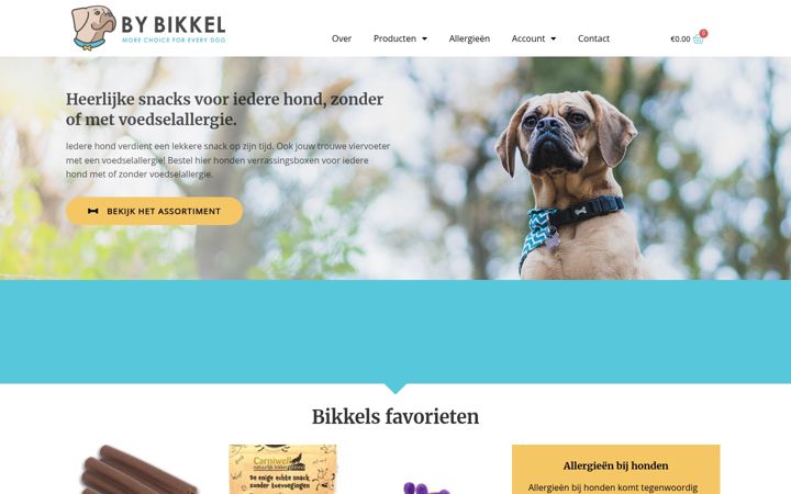 Screenshot του bybikkel.nl