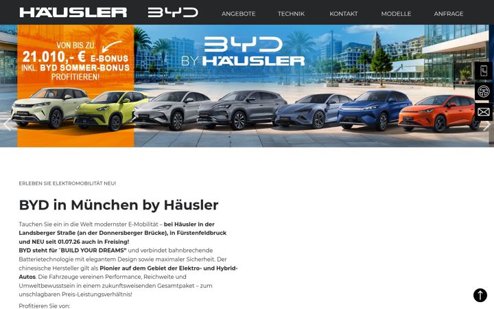Screenshot of byd-haeusler.de