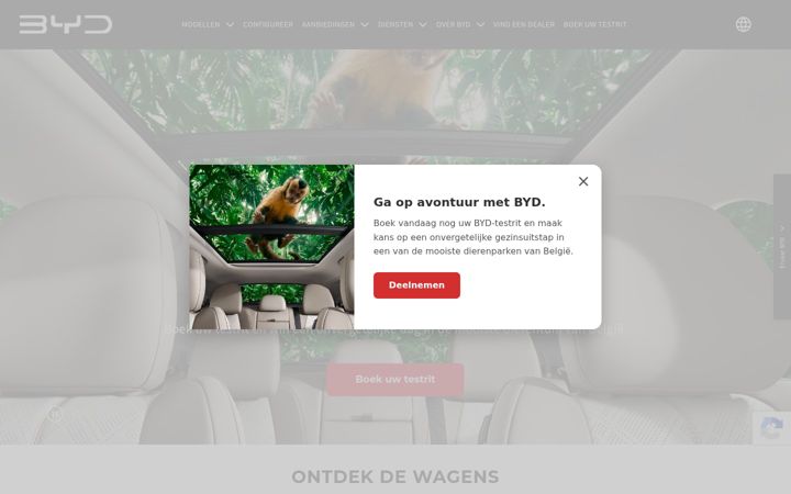 Screenshot of bydauto.be