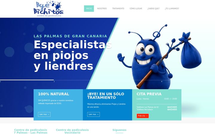 Screenshot of byebichitos.com